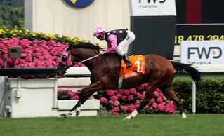 Beauty Generation (NZ) scored his third Group 1 of the Hong Kong season in the Champions Mile. Photo: HKJC